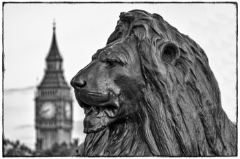 Vom Trafalgar Square zum Big Ben - London - England