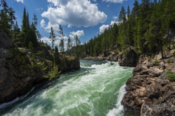  Yellowstone River - Yellowstone NP, Wyoming/USA 