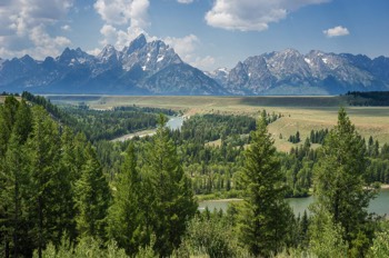  Snake River Overlook mit Grand Teton - Moose, Wyoming/USA 
