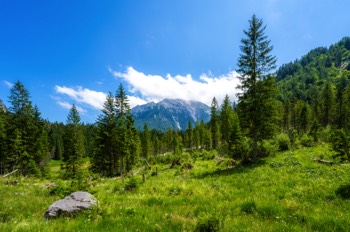  Böslsteig und Halsgrube - Ramsau bei Berchtesgaden - Deutschland 