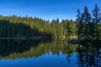  Großer Arbersee - Bayerischer Wald 