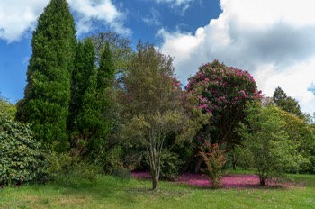  Glendurgan Garden / Falmouth / Cornwall 