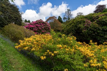  Glendurgan Garden / Falmouth / Cornwall 