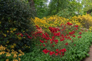  The Savill Garden / Egham / Surrey 