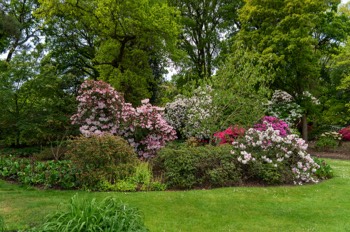  The Savill Garden / Egham / Surrey 