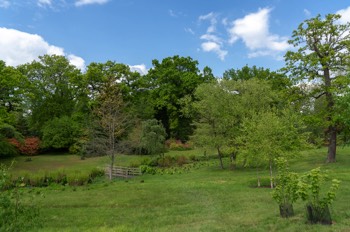  The Savill Garden / Egham / Surrey 