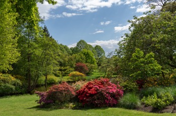  The Savill Garden / Egham / Surrey 