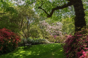  The Savill Garden / Egham / Surrey 