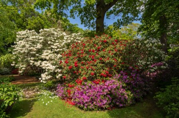  The Savill Garden / Egham / Surrey 