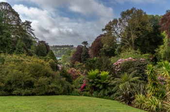  Trebah Gardens / Falmouth / Cornwall 